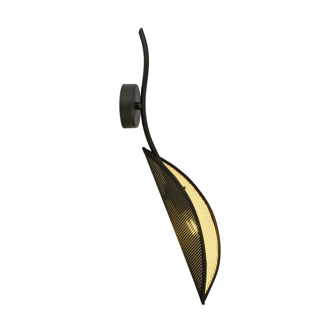 Lotus K1 Black/Gold