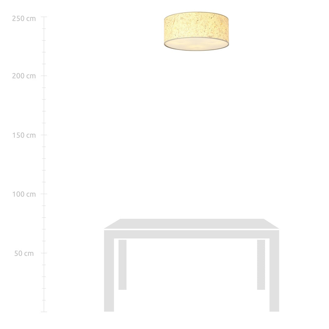 Aston 3 Cork