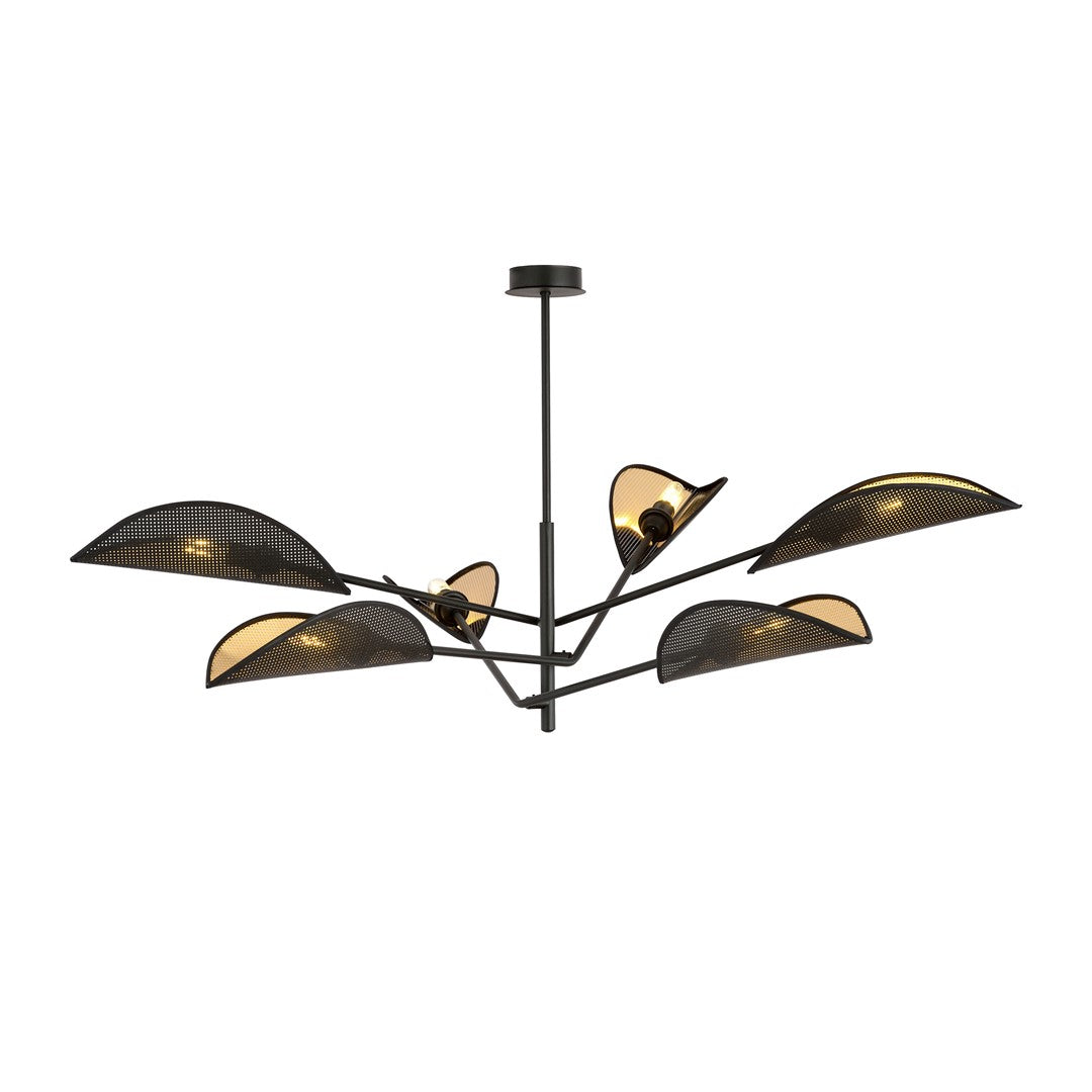 Vene 6 Black/Gold