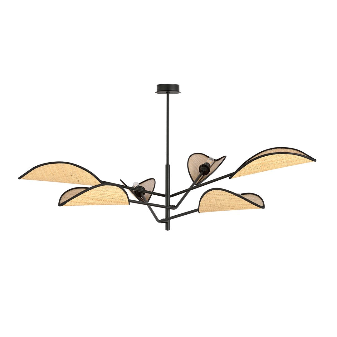 Vene 6 Black/Rattan