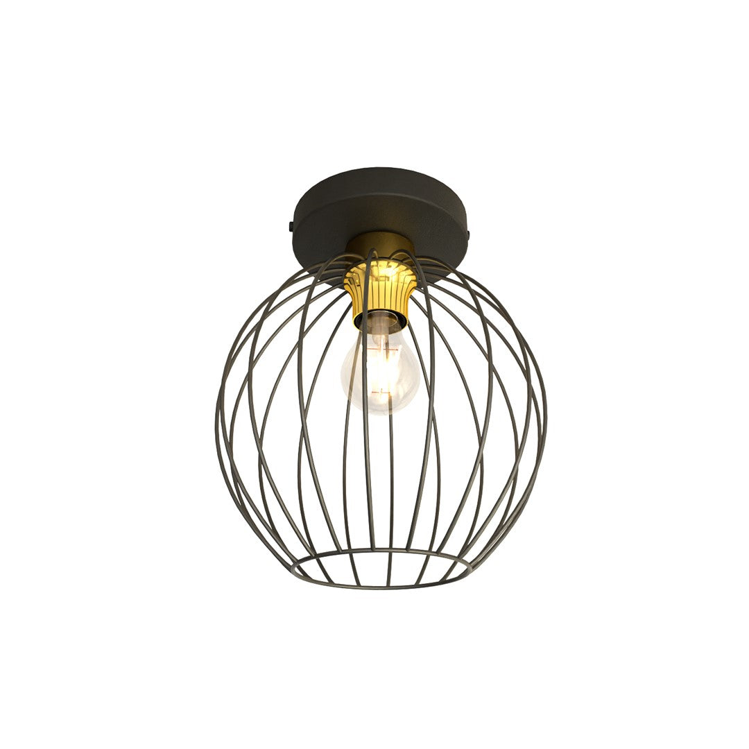 Nest 1 Bl Gold