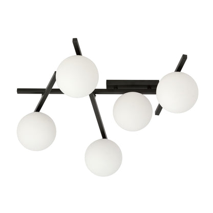 Smart 5 Black/Opal