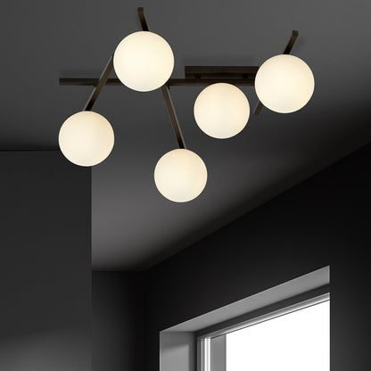 Smart 5 Black/Opal