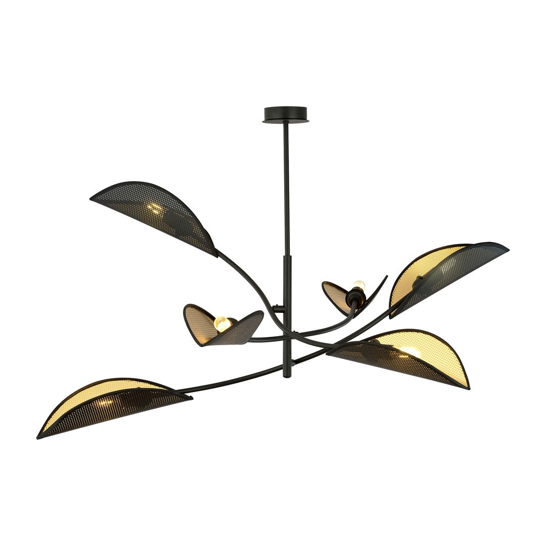 Lotus 6 Black/Gold