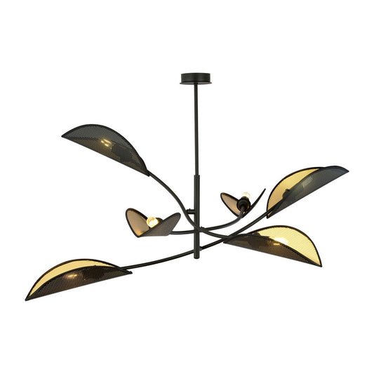 Lotus 6 Black/Gold
