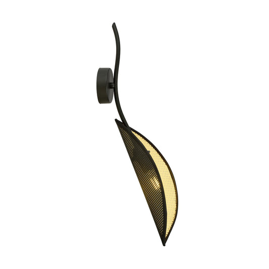 Lotus K1 Black/Gold