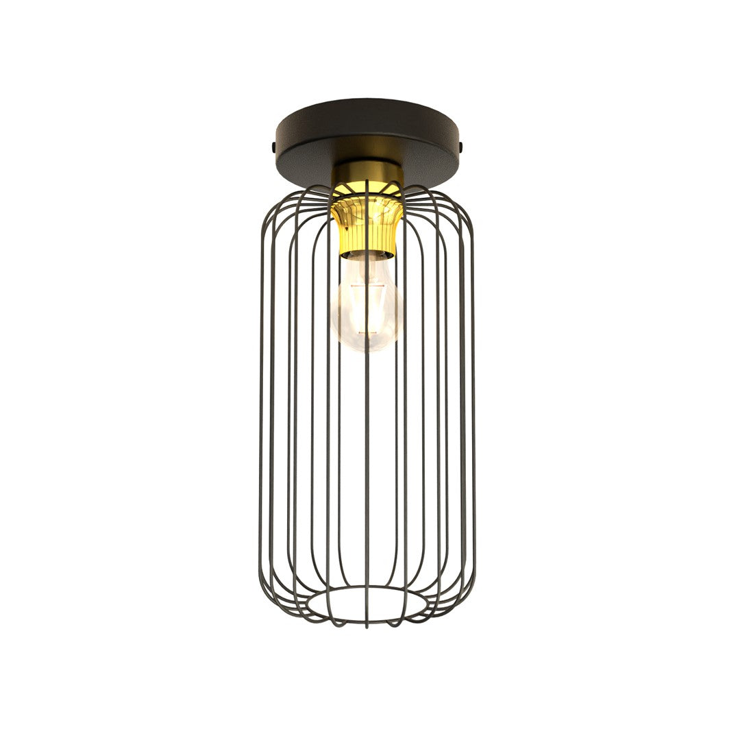 Barn 1 Bl Gold