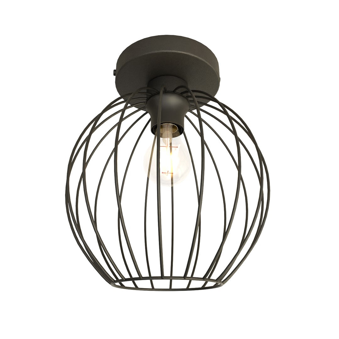 Nest 1 Bl