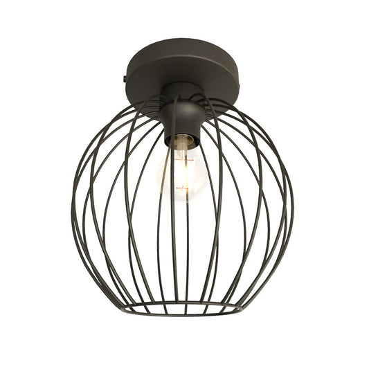 Nest 1 Bl