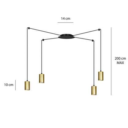 Traker 4 Bl/Gold
