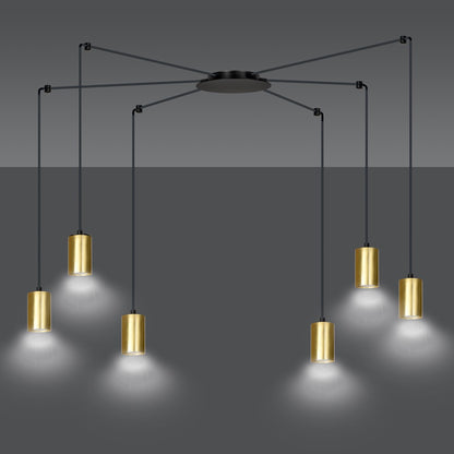 Traker 6 Bl/Gold