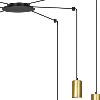Traker 6 Bl/Gold