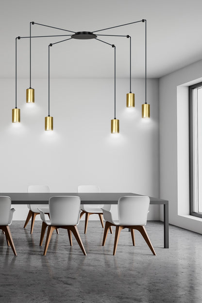 Traker 6 Bl/Gold
