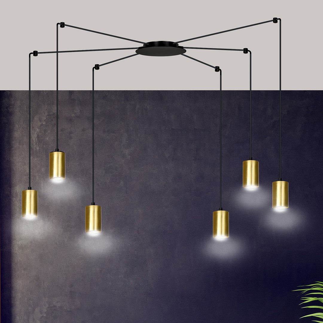 Traker 6 Bl/Gold