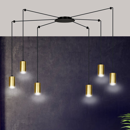 Traker 6 Bl/Gold