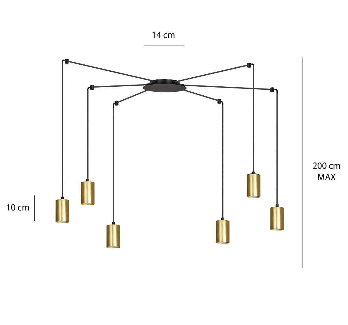 Traker 6 Bl/Gold