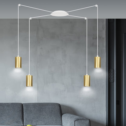Traker 4 Wh/Gold