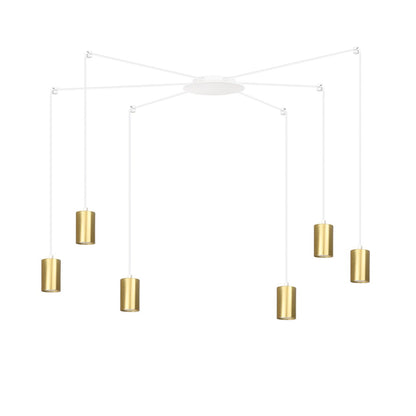 Traker 6 Wh/Gold