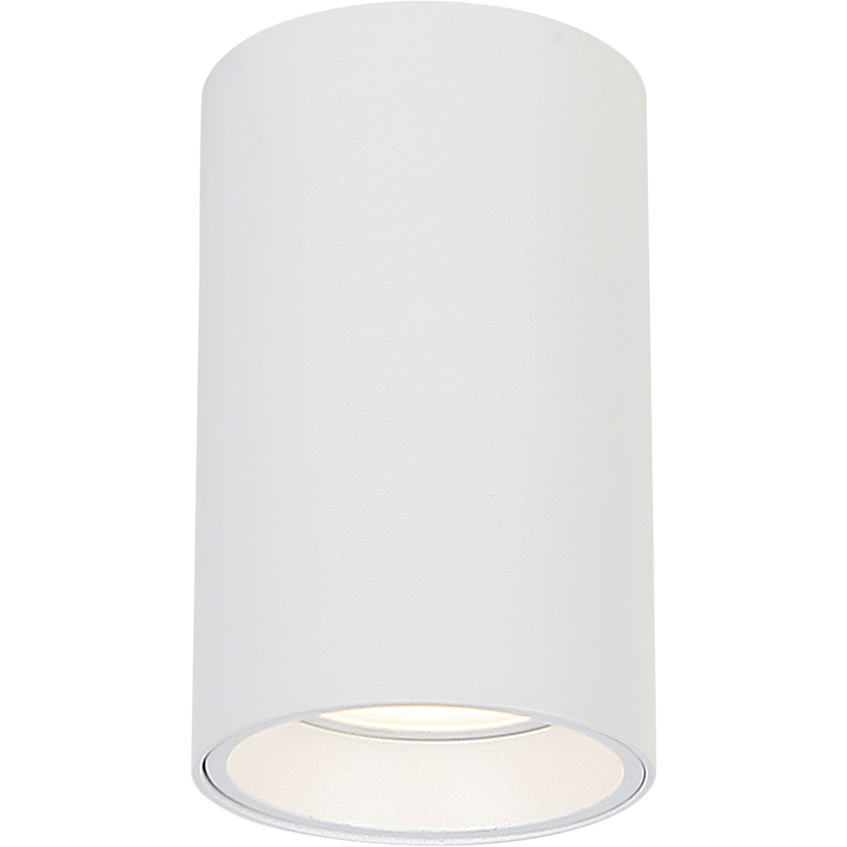 Genesis Spot White 1xGU10 10cm
