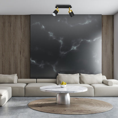 Joker Ceiling Lamp Hand Made Matt Black Luxurious Gold Detail