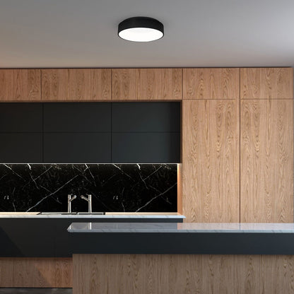 Ohio Ceiling Lamp 45cm Matt Black Built In LED Light Source