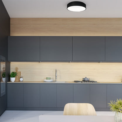 Ohio Ceiling Lamp 45cm Matt Black Built In LED Light Source