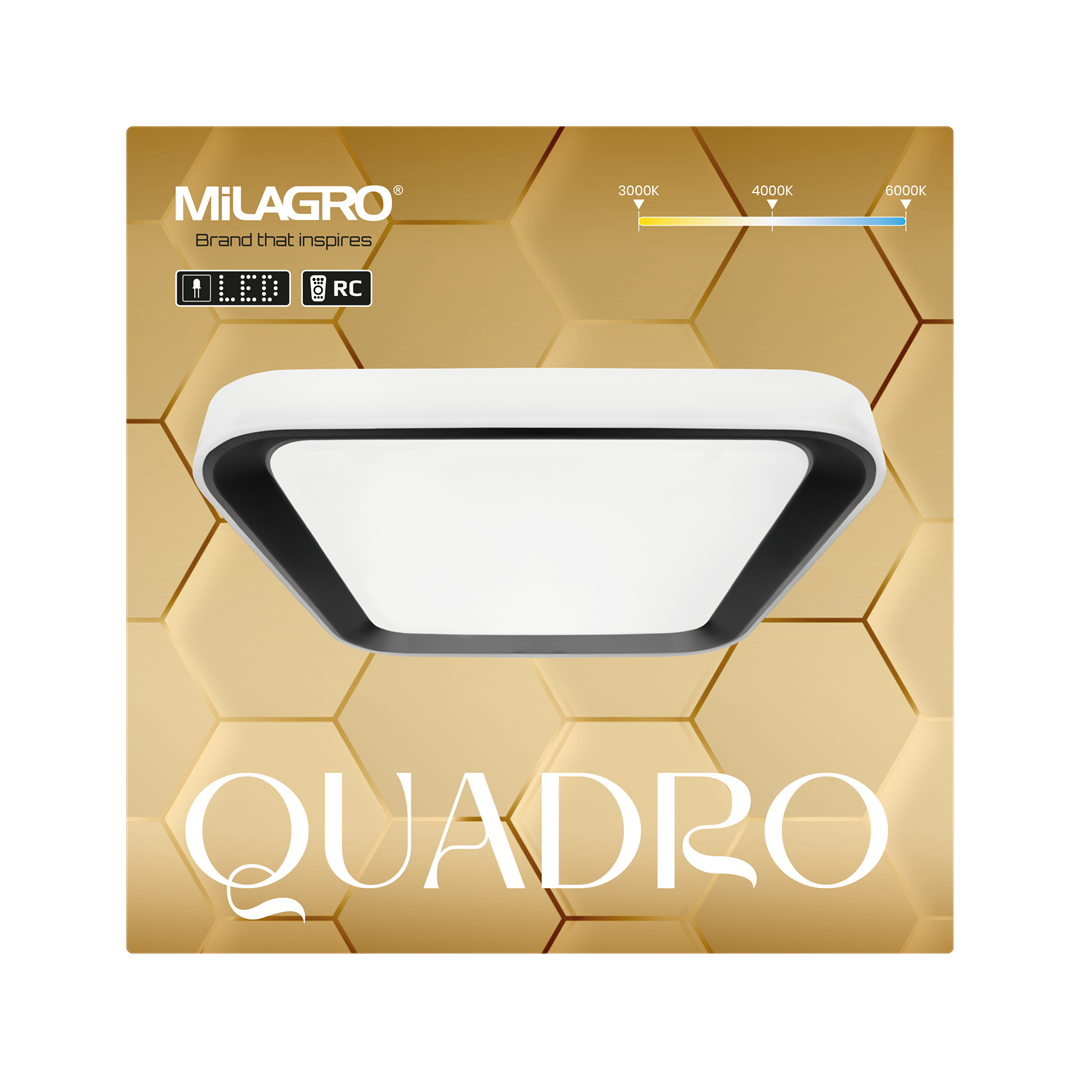 Quadro LED Ceiling Lamp Black 40cm Remote Control