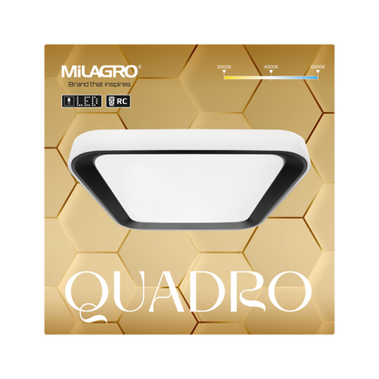 Quadro LED Ceiling Lamp Black 40cm Remote Control