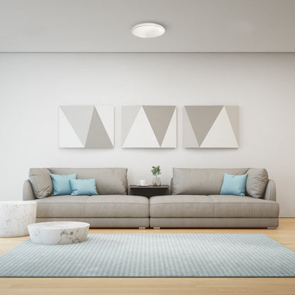 Pepe LED Ceiling 39cm Light Indoor/Outdoor Water Resistant