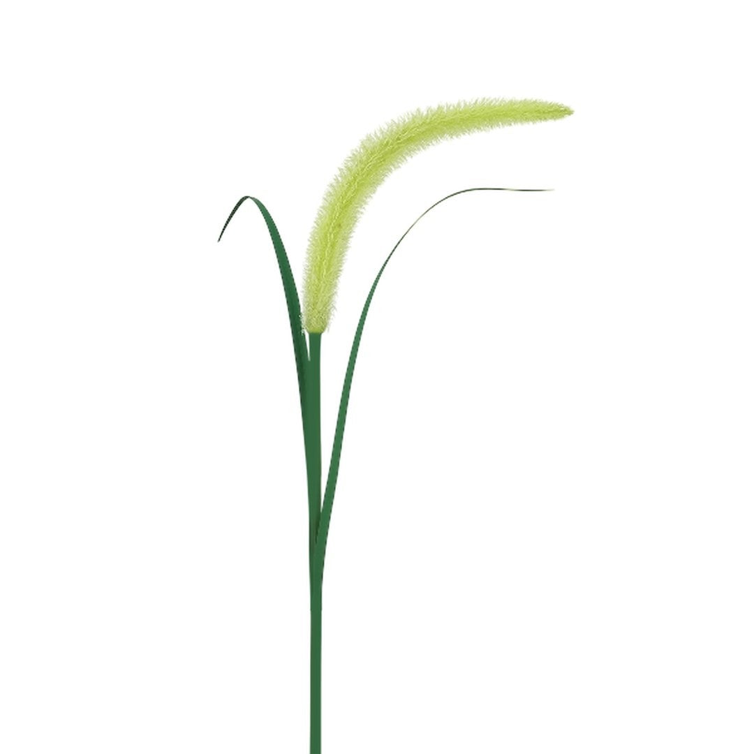 Setaria Solar Lamp 3000K Ip44 Green