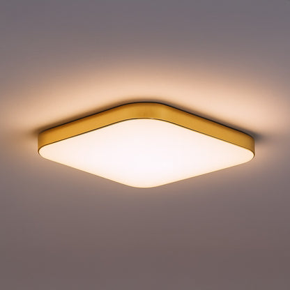 Ceiling Lamp Nemo Gold 17W LED