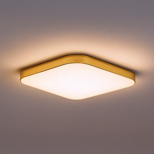 Ceiling Lamp Nemo Gold 17W LED